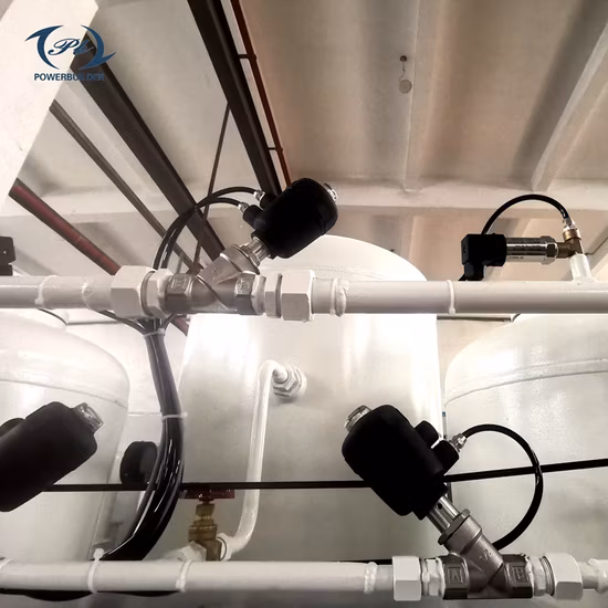 Système d'usine d'oxygène de générateur d'oxygène de petite taille de fonction stable à vendre